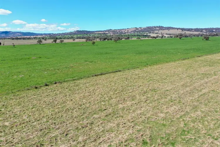 Fourth view of Homely rural property listing, 'Mingladon' 208 Warrumbungles Way, Coolah NSW 2843