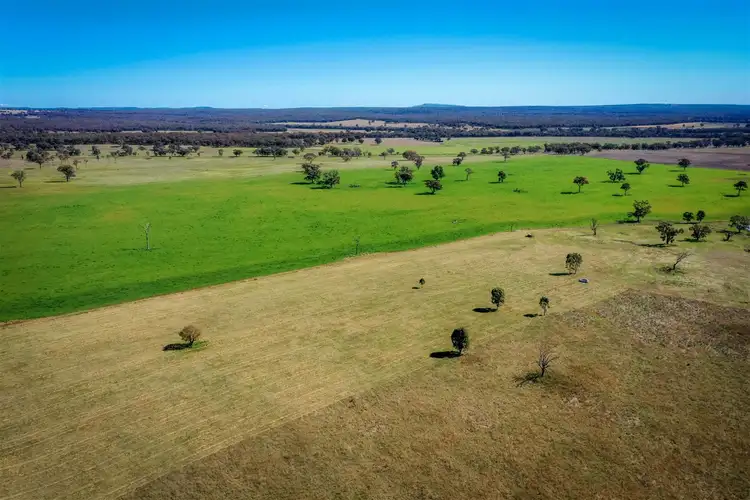 Fifth view of Homely rural property listing, 'Mingladon' 208 Warrumbungles Way, Coolah NSW 2843