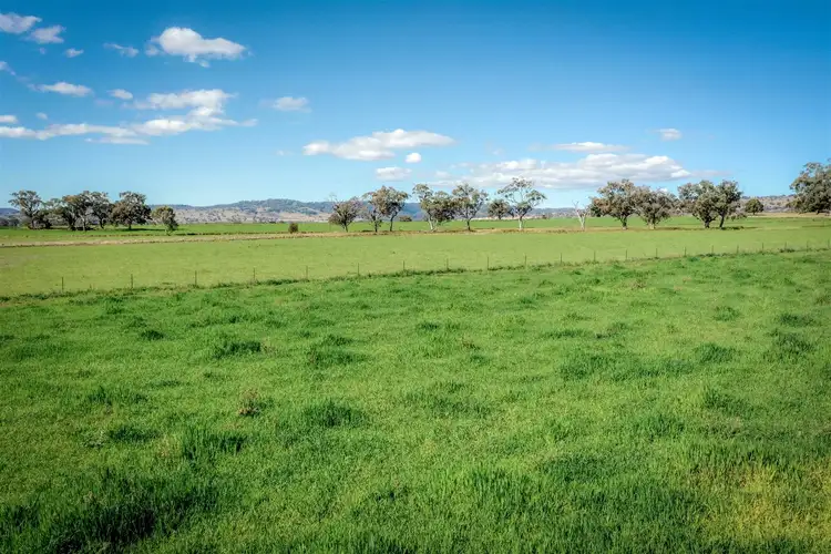 Sixth view of Homely rural property listing, 'Mingladon' 208 Warrumbungles Way, Coolah NSW 2843