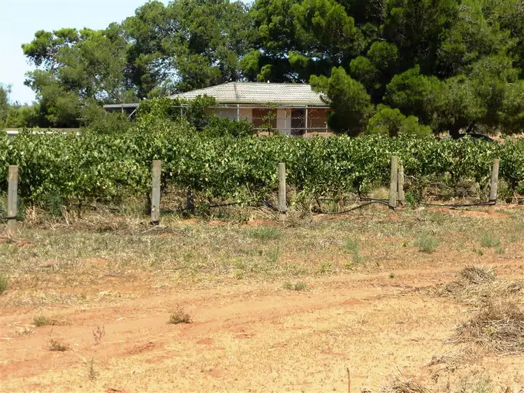 Fifth view of Homely rural property listing, 155 Kallora Road, Bowmans SA 5550