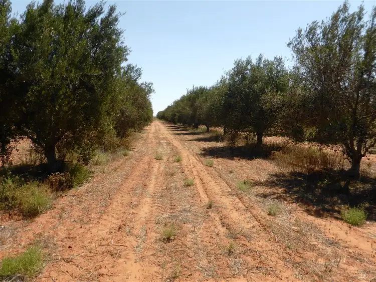 Sixth view of Homely rural property listing, 155 Kallora Road, Bowmans SA 5550