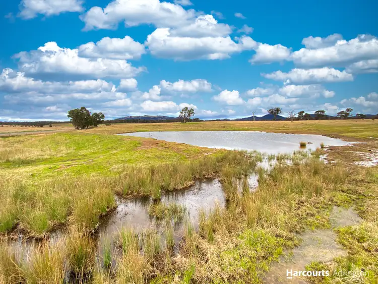 Fifth view of Homely rural property listing, 2830 Bylong Valley Way, Rylstone NSW 2849