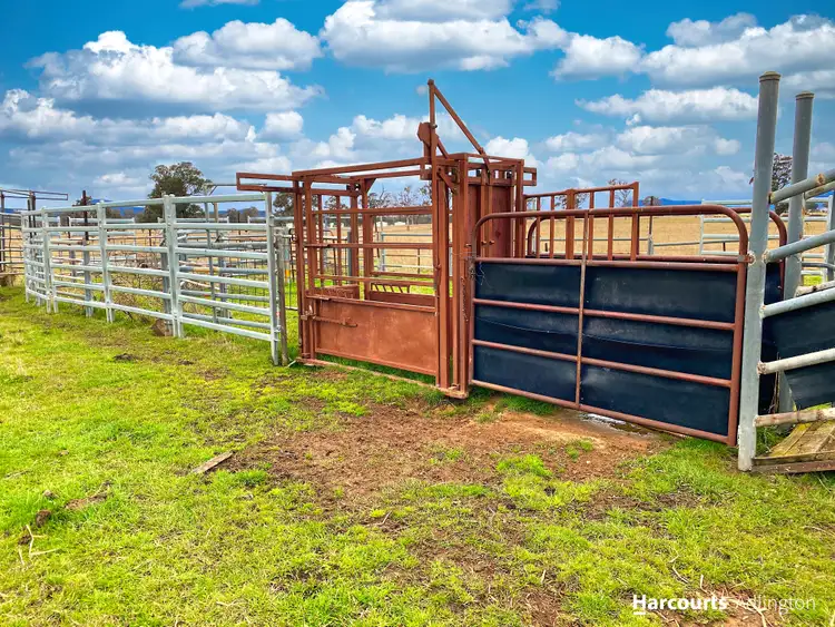 Seventh view of Homely rural property listing, 2830 Bylong Valley Way, Rylstone NSW 2849