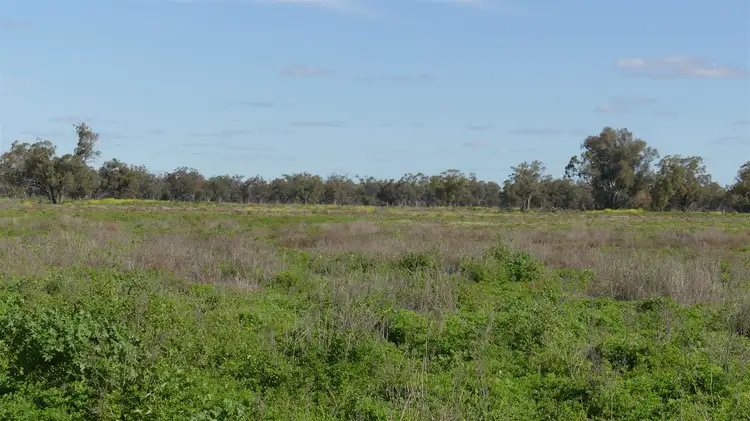 Sixth view of Homely rural property listing, 527 Carinda Road, Warren NSW 2824