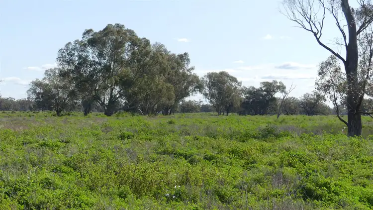 Seventh view of Homely rural property listing, 527 Carinda Road, Warren NSW 2824