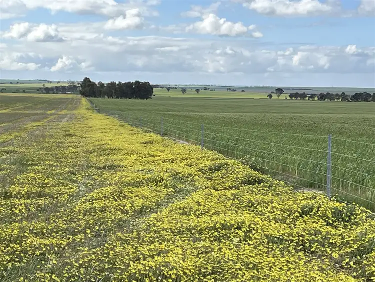 Second view of Homely rural property listing, . 'Meadowcroft', Cunderdin WA 6407