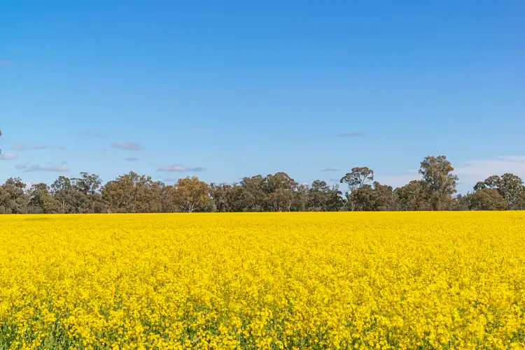 Aratula Lower River Road, Tocumwal NSW 2714