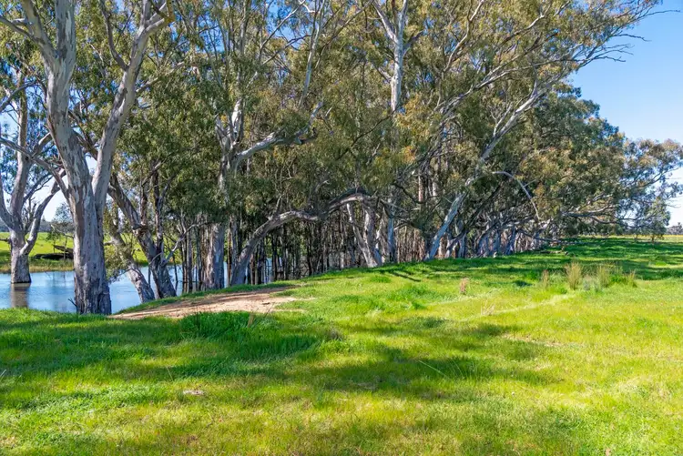 Fourth view of Homely rural property listing, Aratula Lower River Road, Tocumwal NSW 2714