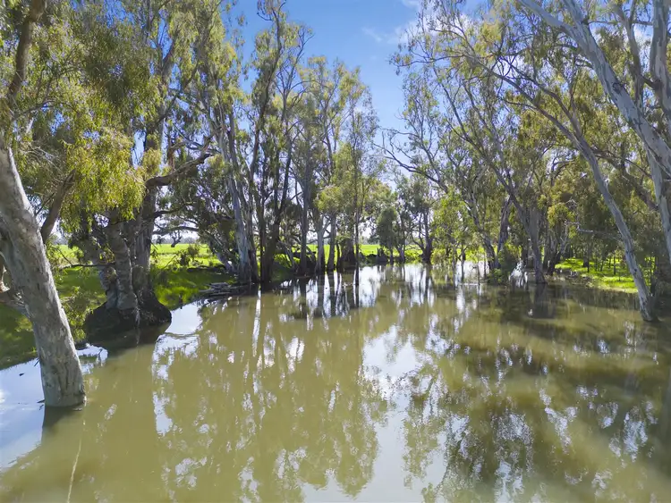 Fifth view of Homely rural property listing, Aratula Lower River Road, Tocumwal NSW 2714