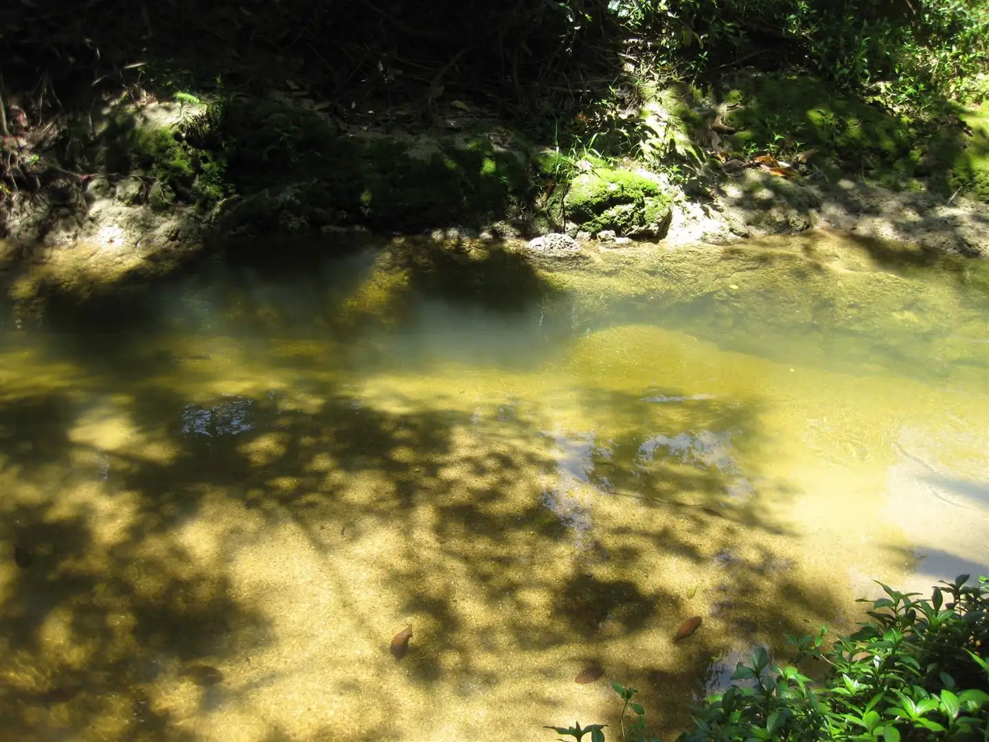 Main view of Homely rural property listing, Address available on request