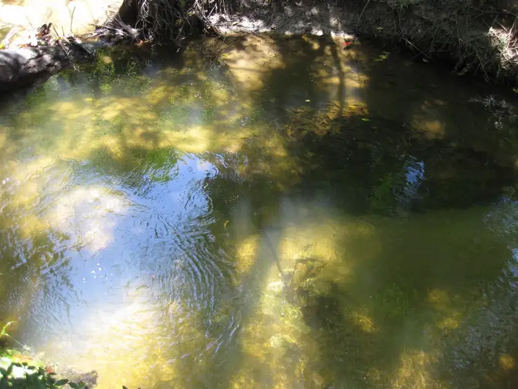 Sixth view of Homely rural property listing, Address available on request