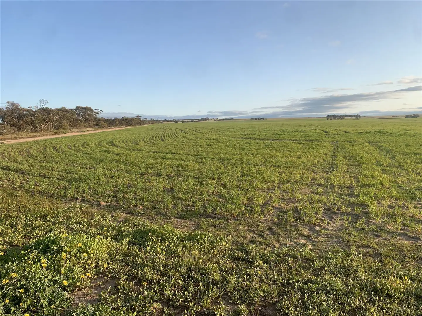 Main view of Homely rural property listing, . Karlgarin South Road, Karlgarin WA 6358