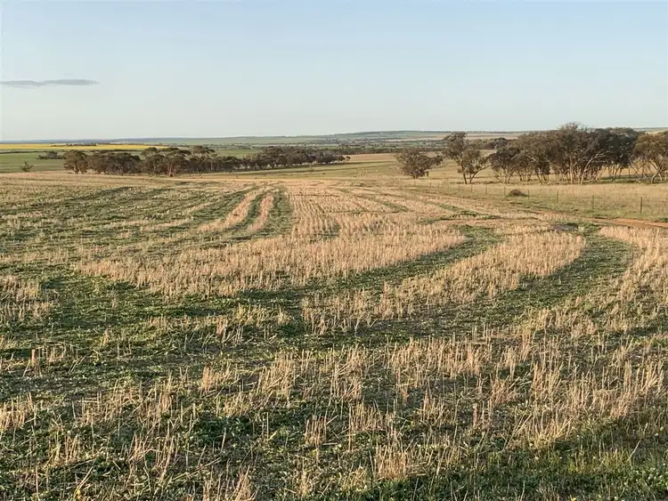Fifth view of Homely rural property listing, . Karlgarin South Road, Karlgarin WA 6358