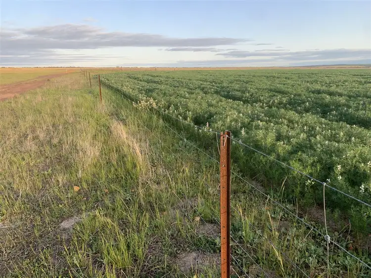 Sixth view of Homely rural property listing, . Karlgarin South Road, Karlgarin WA 6358