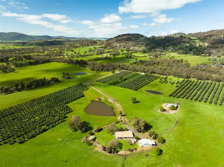 152 Wilkinsons Lane, Euroa VIC 3666
