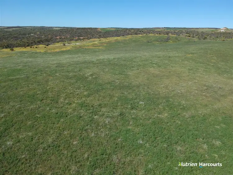 Fourth view of Homely land listing, 46 King Street, Isseka WA 6535