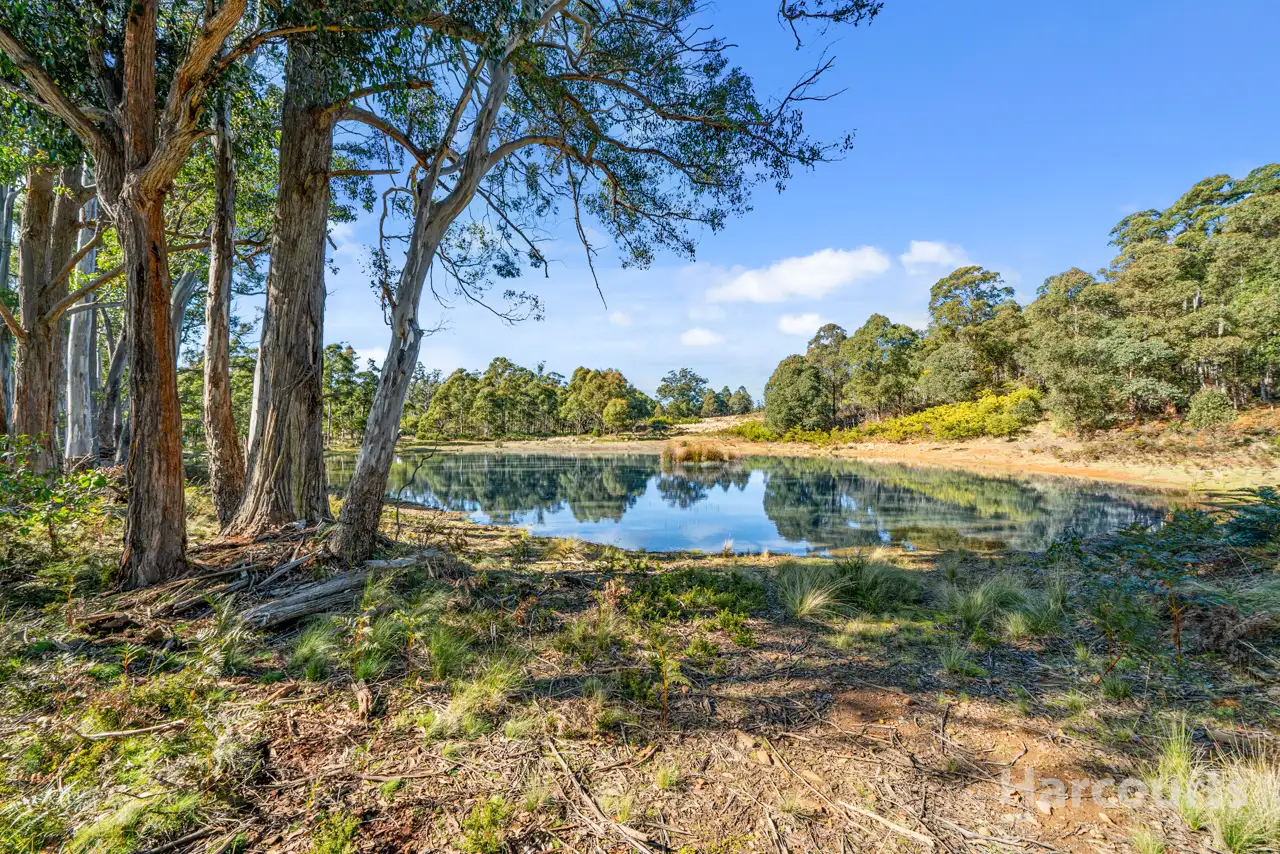 Main view of Homely land listing, LOT 1, 290 Woolridge Road, Rhyndaston TAS 7120
