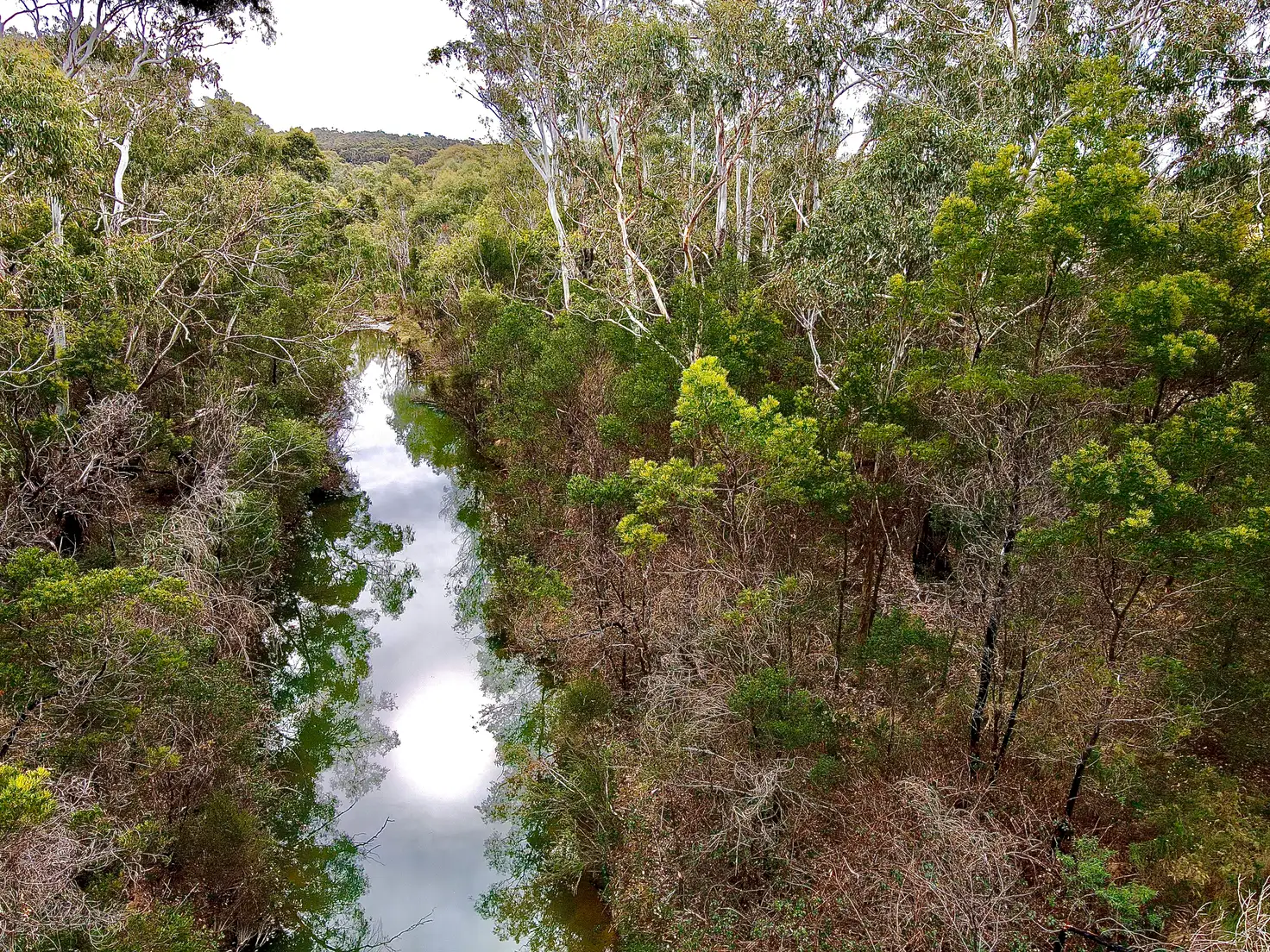 Main view of Homely rural property listing, Lot 12 Jerrara Valley Jerrara Road, Marulan NSW 2579