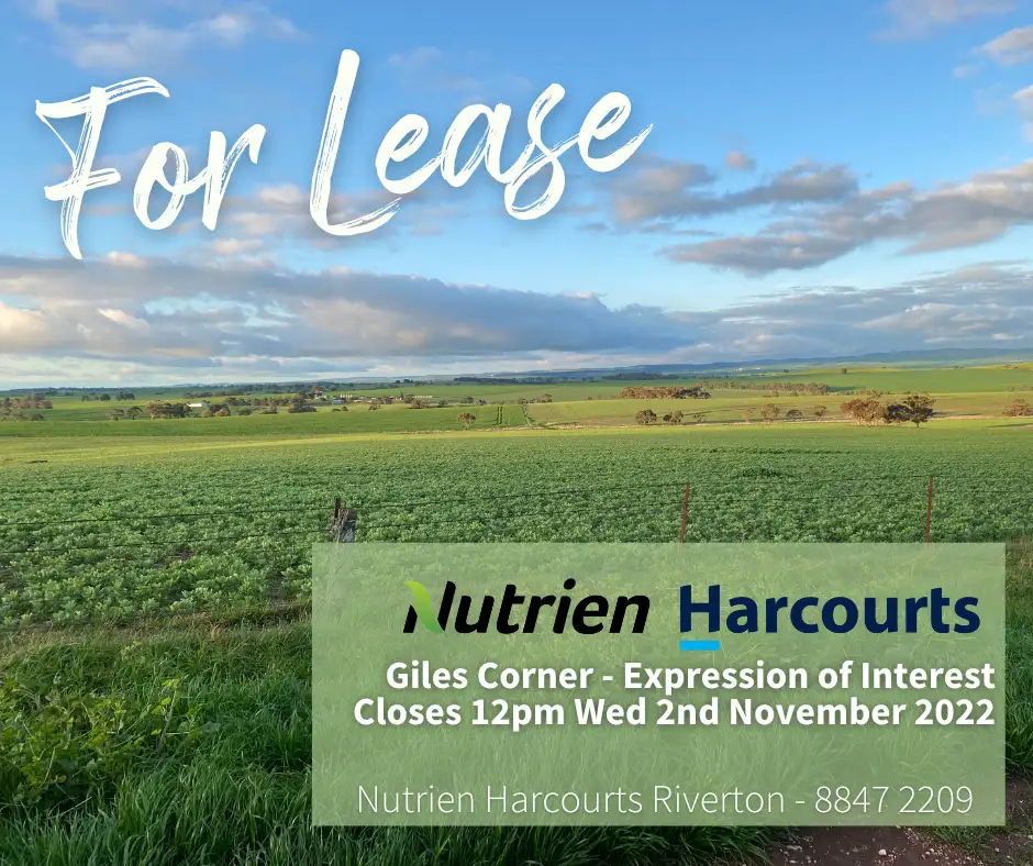 Main view of Homely rural property listing, 80 Hazelton Road, Giles Corner SA 5411