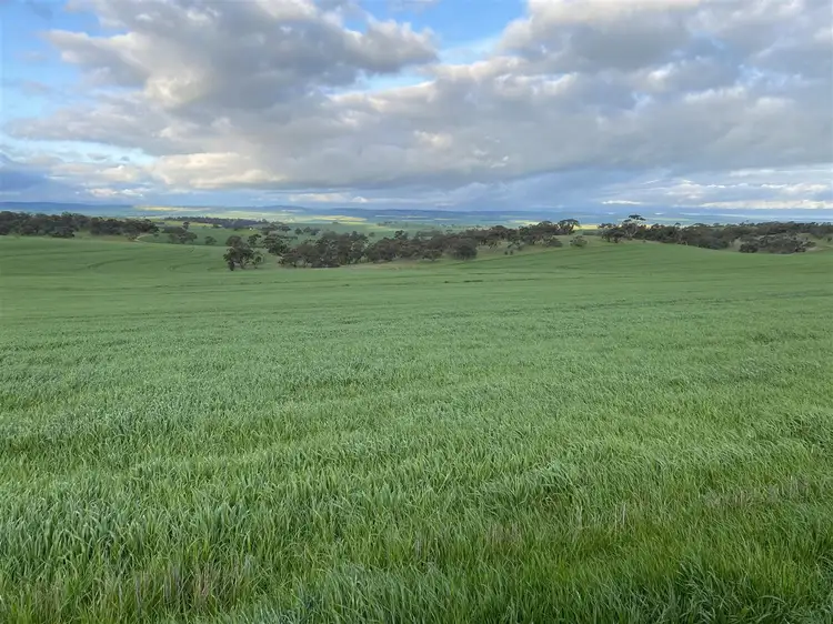 Fourth view of Homely rural property listing, 80 Hazelton Road, Giles Corner SA 5411