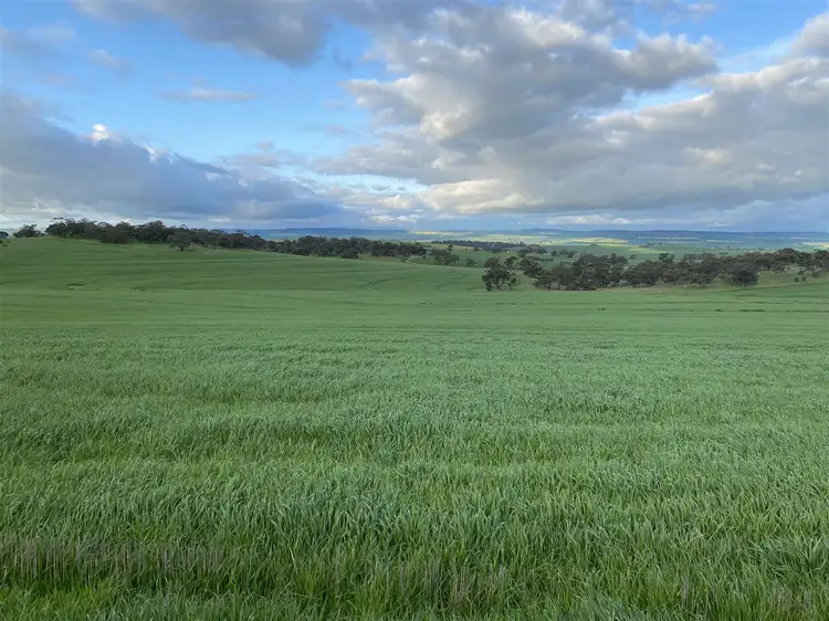 Sixth view of Homely rural property listing, 80 Hazelton Road, Giles Corner SA 5411