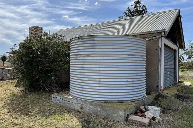 Seventh view of Homely rural property listing, 3109 Ridley Road, Cambrai SA 5353