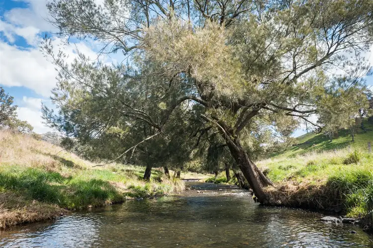 Third view of Homely rural property listing, 'Isis Range' 1843 Timor Crawney Road, Timor NSW 2338