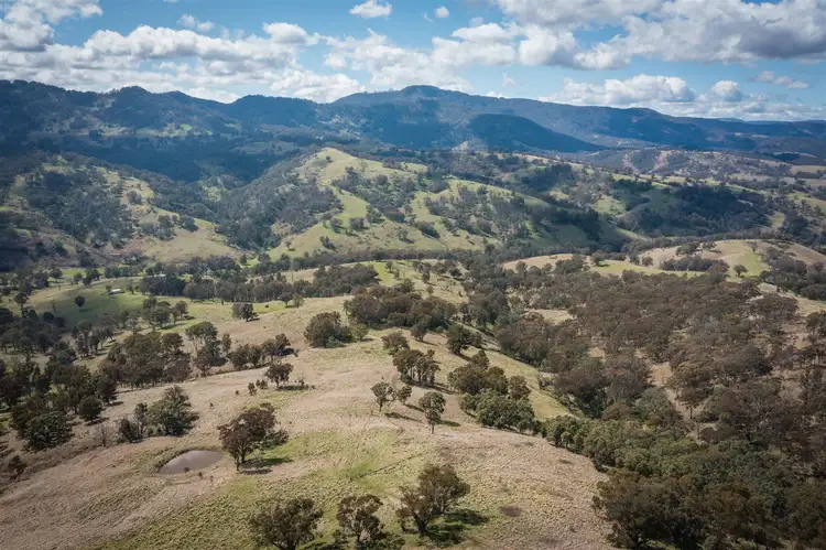 Fifth view of Homely rural property listing, 'Isis Range' 1843 Timor Crawney Road, Timor NSW 2338