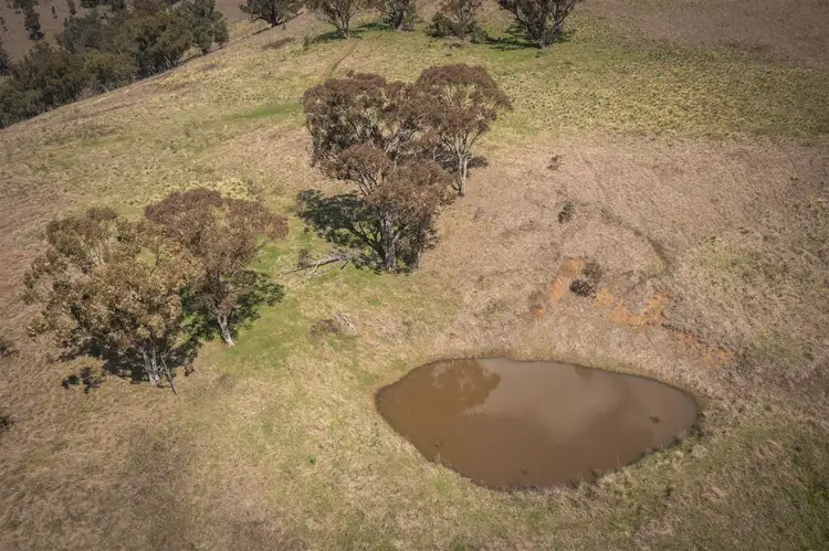 Sixth view of Homely rural property listing, 'Isis Range' 1843 Timor Crawney Road, Timor NSW 2338
