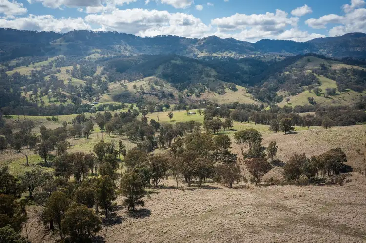 Seventh view of Homely rural property listing, 'Isis Range' 1843 Timor Crawney Road, Timor NSW 2338