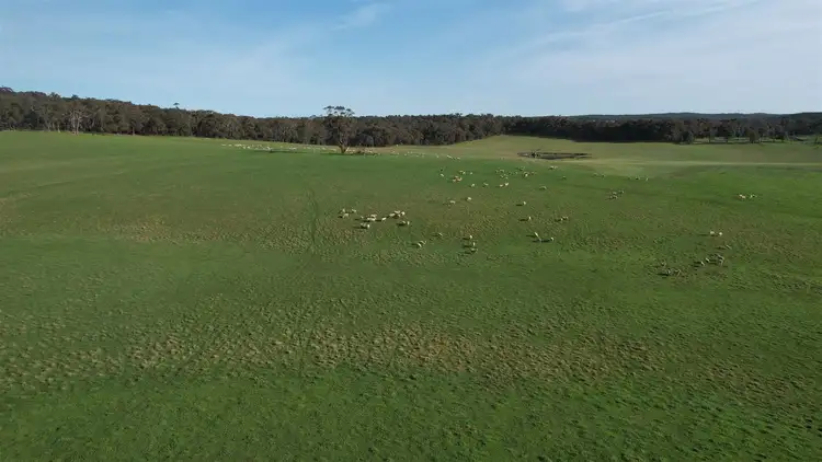 Third view of Homely rural property listing, 'Bute View' Linton-Mannibadar Road, Linton VIC 3360