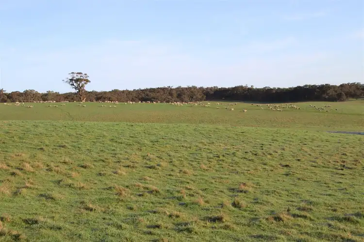 Fifth view of Homely rural property listing, 'Bute View' Linton-Mannibadar Road, Linton VIC 3360