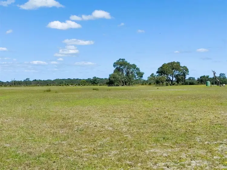 Fourth view of Homely rural property listing, 402 Douglas Road, Beermullah WA 6503