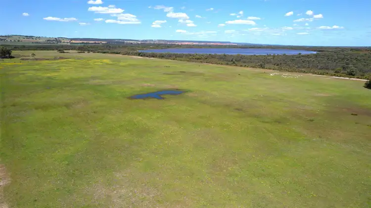 Fifth view of Homely rural property listing, 402 Douglas Road, Beermullah WA 6503