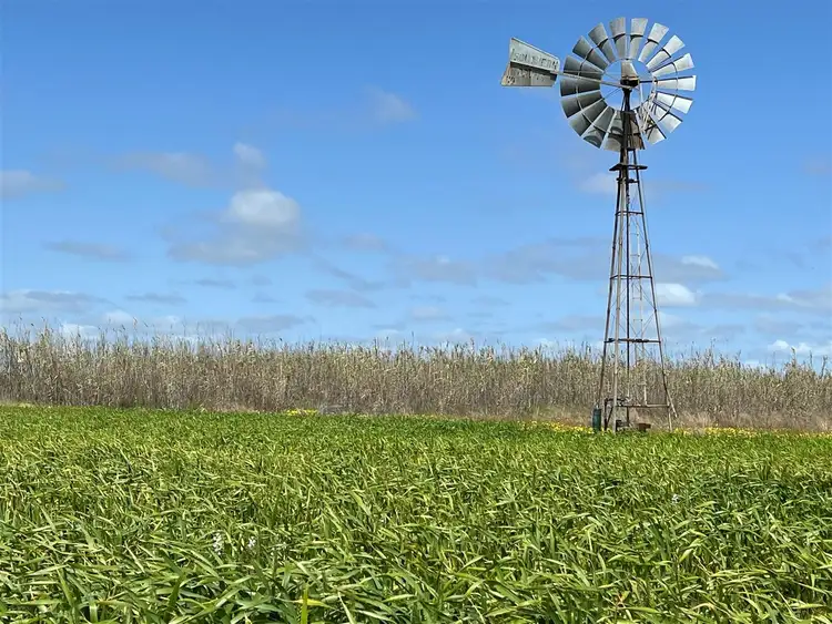 Fourth view of Homely rural property listing, Address available on request