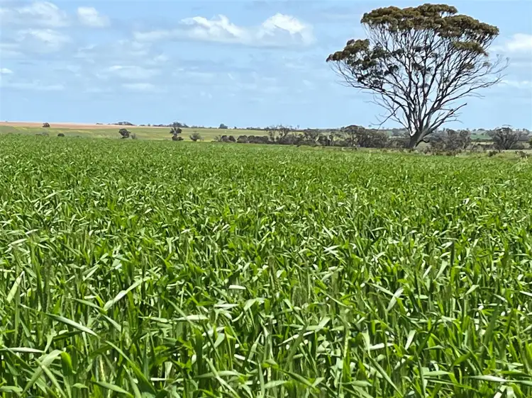 . 'Merv's'      706 ha       1744 acres, Meckering WA 6405