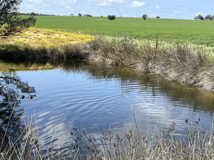 Third view of Homely rural property listing, . 'Merv's'      706 ha       1744 acres, Meckering WA 6405