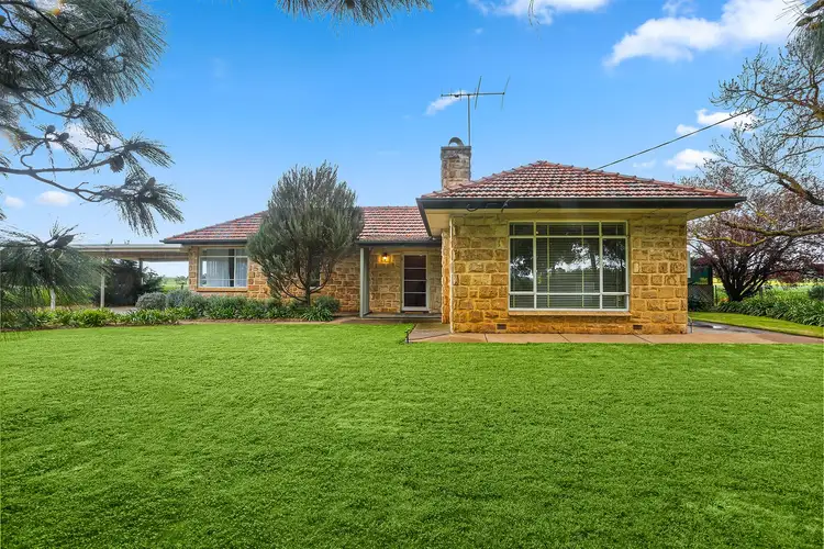Main view of Homely house listing, 105 Torrens Road, Riverton SA 5412