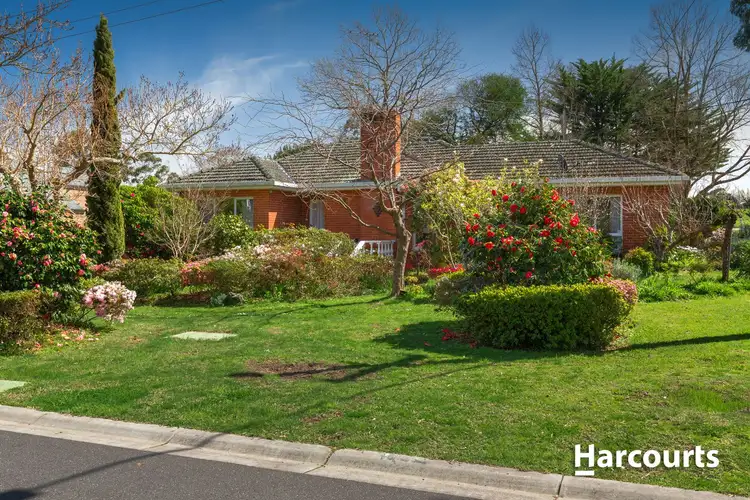16 Allan Street, Berwick VIC 3806