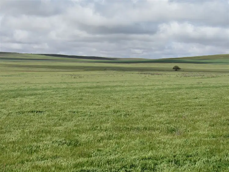 Sixth view of Homely rural property listing, 425 O'Dea Road, Yongala SA 5493