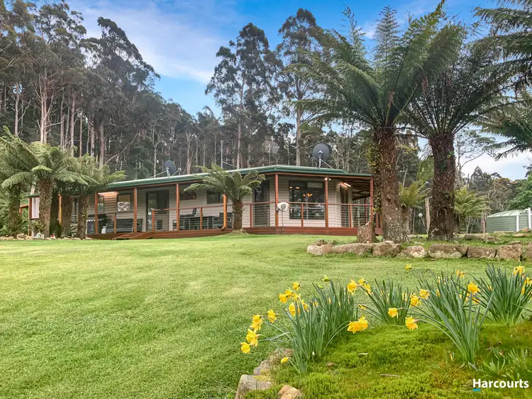 Main view of Homely house listing, 39 Poimena Road, Lottah TAS 7216