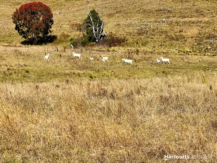 Fourth view of Homely rural property listing, 30 Goorangore Road Windeyer, Mudgee NSW 2850