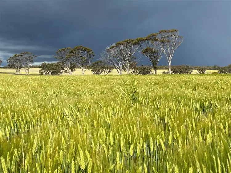 . 'Gardens', Shackleton WA 6386