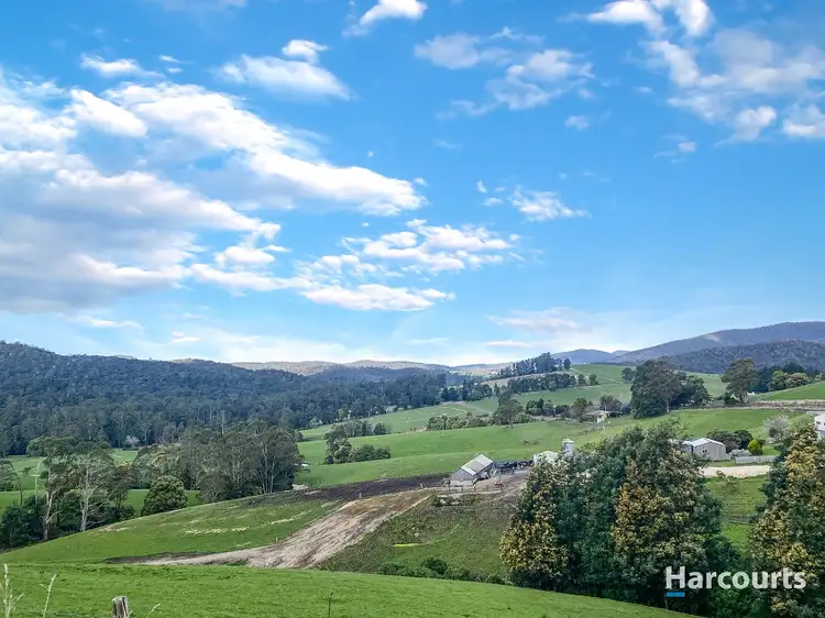 309 Lottah Road, Goulds Country TAS 7216