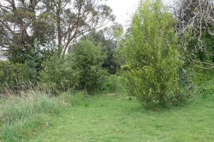 Second view of Homely land listing, 309 Lottah Road, Goulds Country TAS 7216