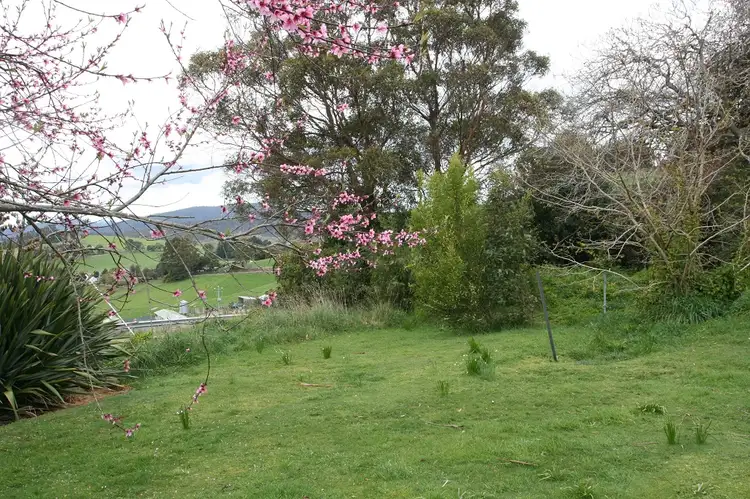 Third view of Homely land listing, 309 Lottah Road, Goulds Country TAS 7216