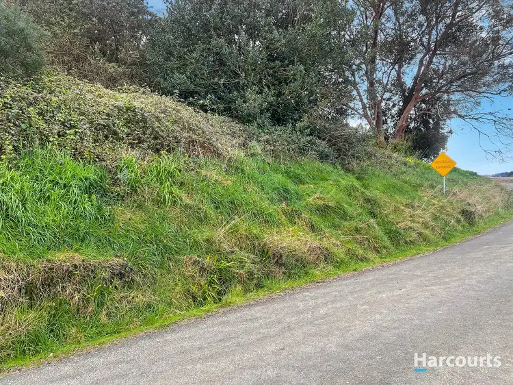 Fifth view of Homely land listing, 309 Lottah Road, Goulds Country TAS 7216