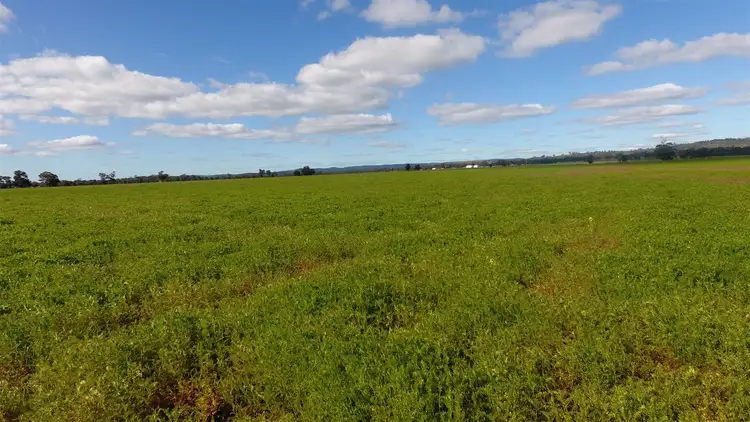 Seventh view of Homely rural property listing, Lot 1 Nobbys Lane, Navarre Via, Stawell VIC 3380