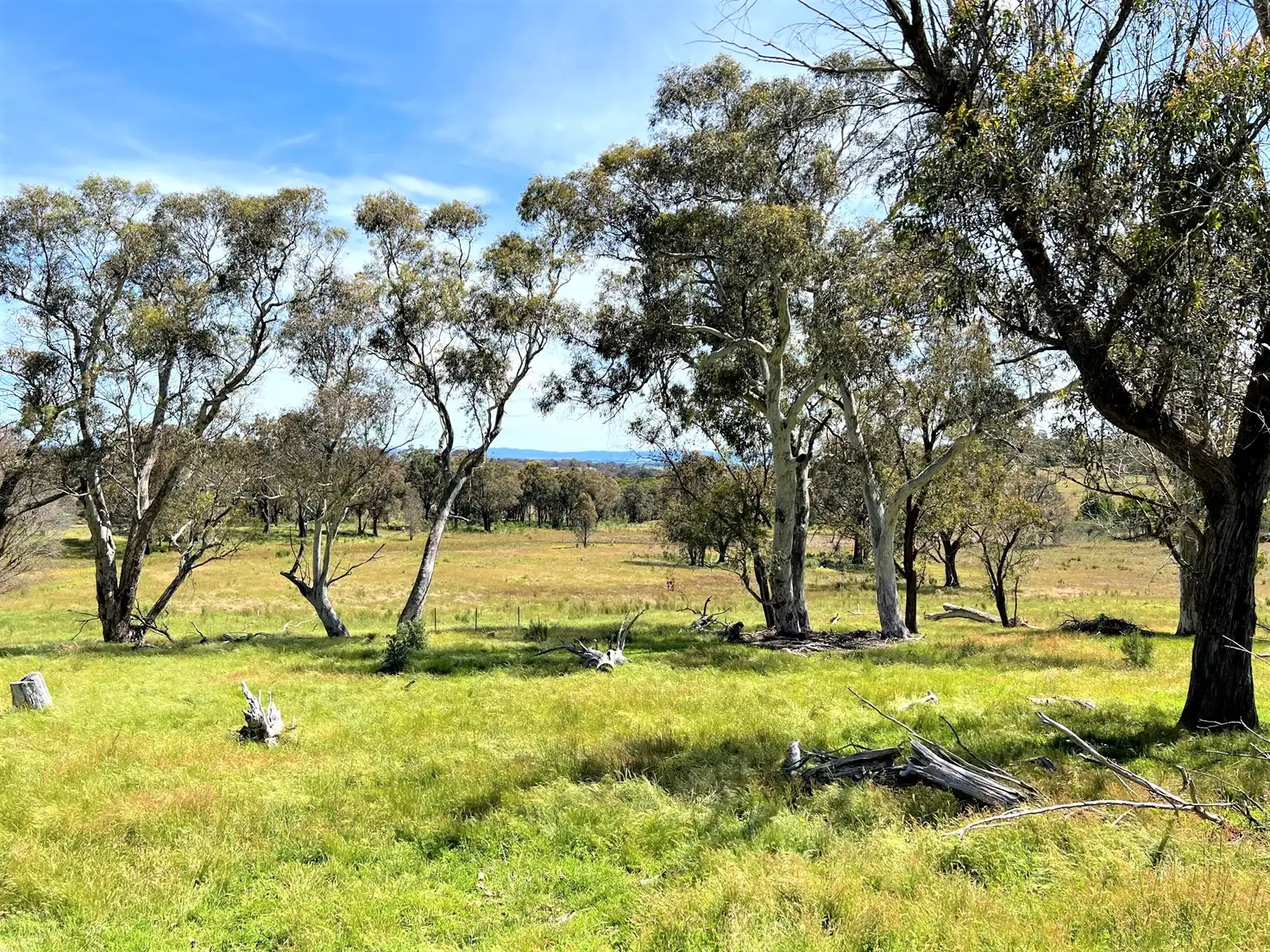Main view of Homely rural property listing, 763 Mountain Ash Road, Gundary Via, Goulburn NSW 2580