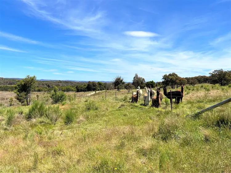 Third view of Homely rural property listing, 763 Mountain Ash Road, Gundary Via, Goulburn NSW 2580